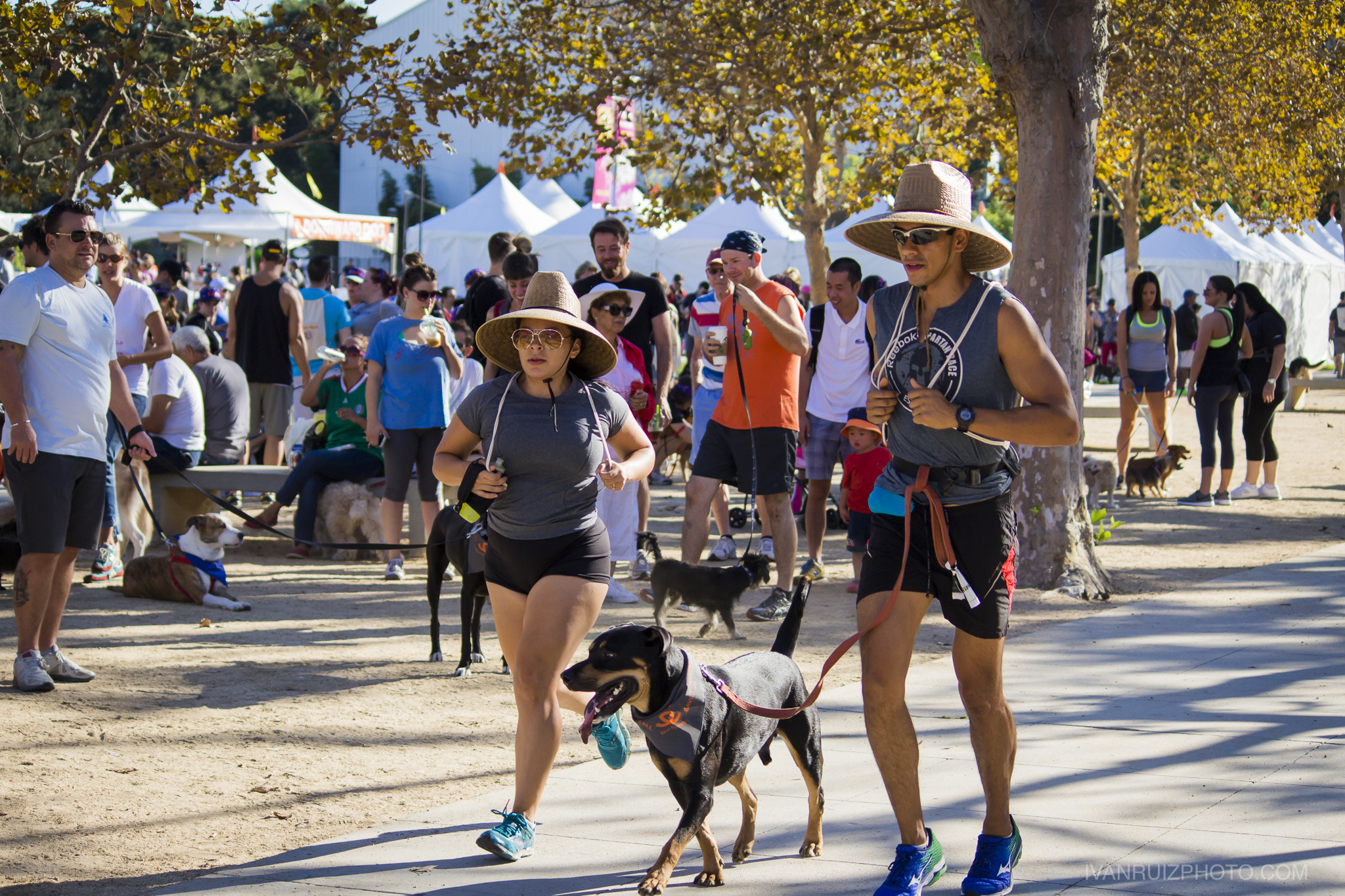 Dog Charity Walk in Los Angeles, CA (Strut Your Mutt)